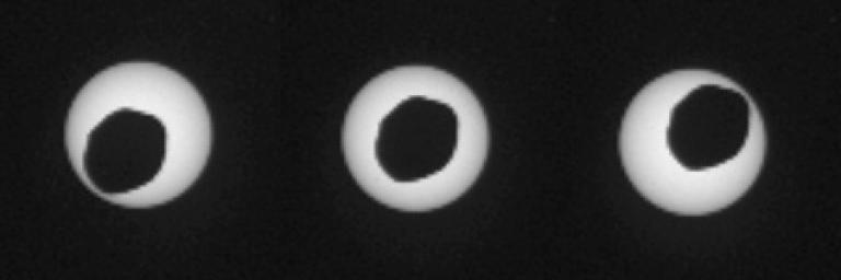 Odmiana kosmicznego obrączkowego zaćmienia Słońca obserwowana na Marsie przez sondę Curiosity - ciałem zasłaniającym jest Phobos.
