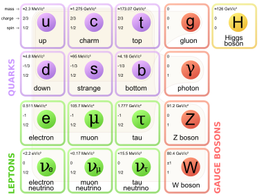 Model Standardowy - schemat cząstek elementarnych (kwarków i leptonów, na fioletowo i zielono) oraz cząstek pośredniczących (na czerwono). Na żółto u góry - bozon Higgsa. Kwarki i leptony to tzw. fermiony - cząstki które obowiązuje zakaz Pauliego (i spełniające statystykę Fermiego-Diraca), prawa strona tego "mini-układu okresowego" to bozony, podlegające statystyce Bosego-Einsteina. Stąd wynika, że np. foton to bozon i nie podlega zakazowi Pauliego zaś elektron to fermion - czyli że nie może przebywać z innym elektronem o identycznych liczbach kwantowych w jednej komórce elementarnej. Zakaz Pauliego sprawia że istnieją gwiazdy nazwane białymi karłami (white dwarfs) - stanowiące coś w rodzaju sieci krystalicznej o wielkiej gęstości. Przed kolapsem do gwiazdy neutronowej lub czarnej dziury chroni je jedynie ów zakaz Pauliego i masa obiektu poniżej masy granicznej (Chandrasekhara) wynoszącej ~1.44 M Słońca.